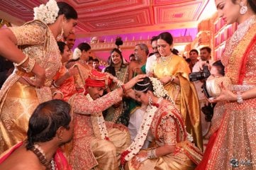 T Subbarami Reddy Grandson Wedding Photos